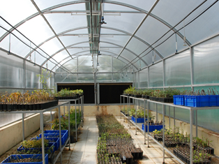 Nursery